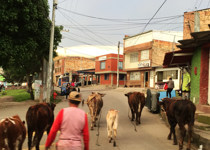 Los espacios rurales periféricos en el POT de Bogotá