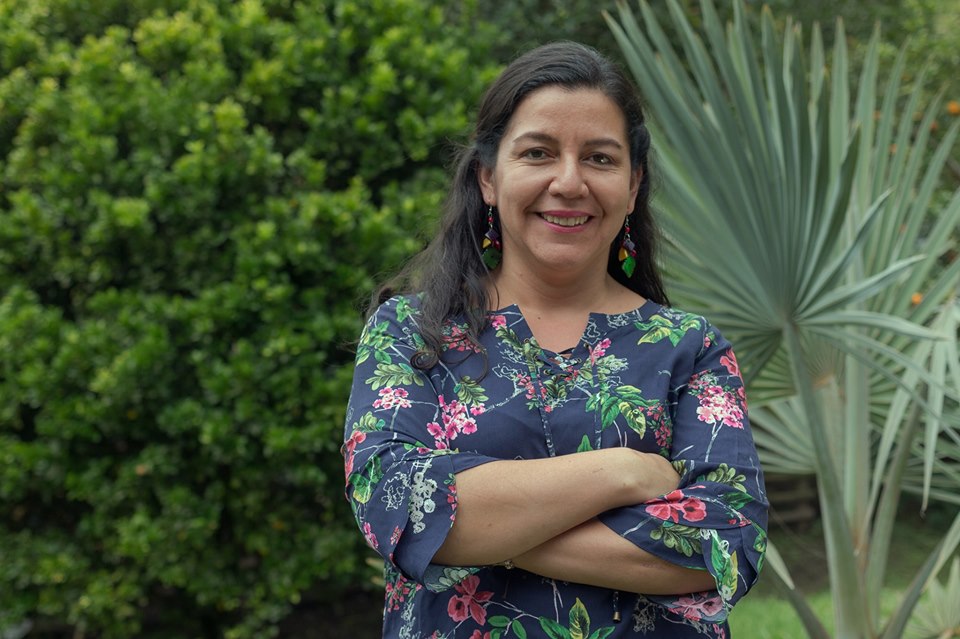  - Candidatos alternativos derrotaron a las maquinarias tradicionales