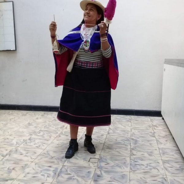  - Candidatos alternativos derrotaron a las maquinarias tradicionales