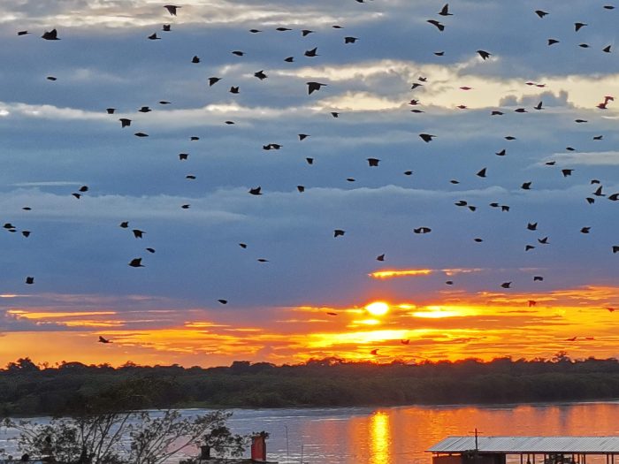  - Guaviare, una hermosa fábrica de atardeceres