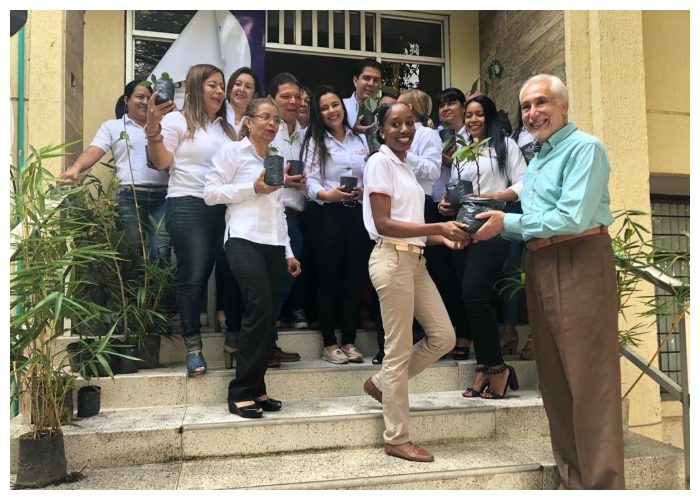  - Siembra masiva de árboles en los cerros del Valle - Página 7