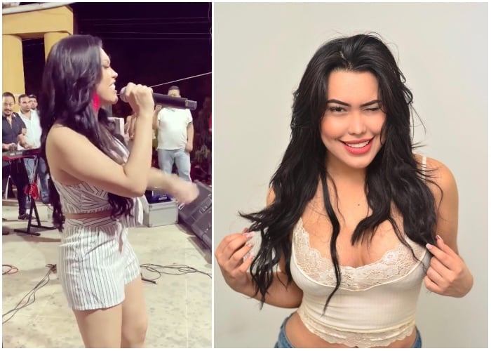 El prematuro ocaso de Ana del Castillo