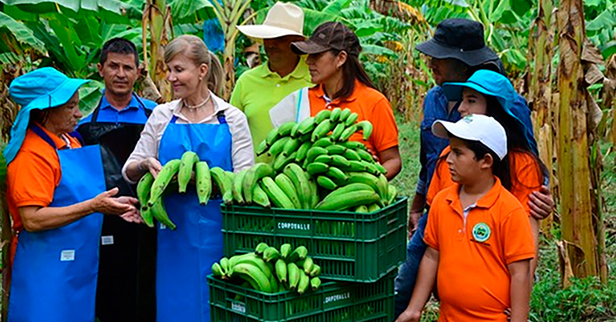 El Valle no es solo caña de azúcar - Las2orillas