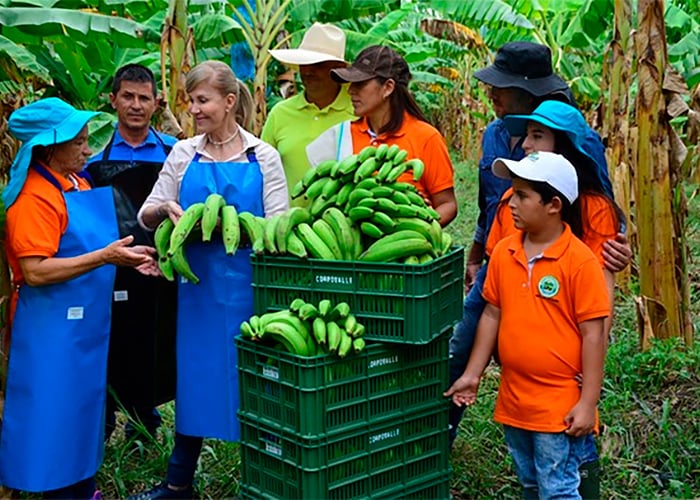 El Valle no es solo caña de azúcar