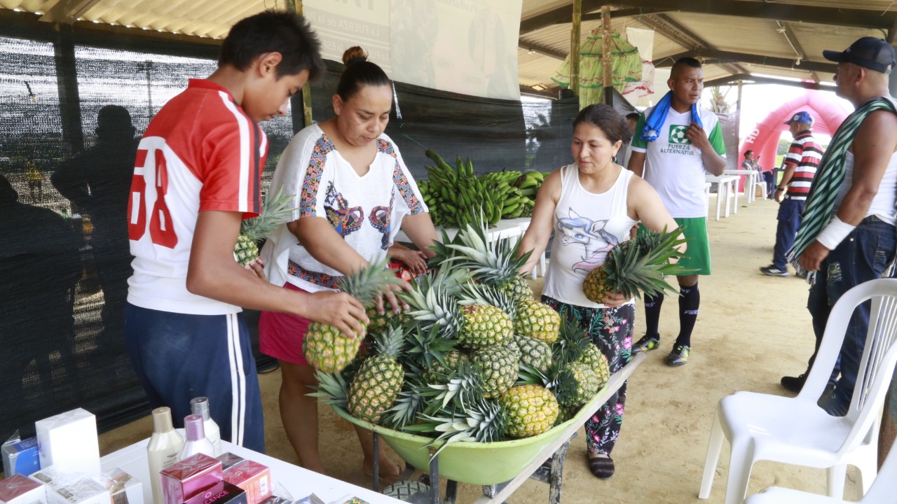  - En Caquetá, en las selvas del sur: tres años de la firma de la Paz