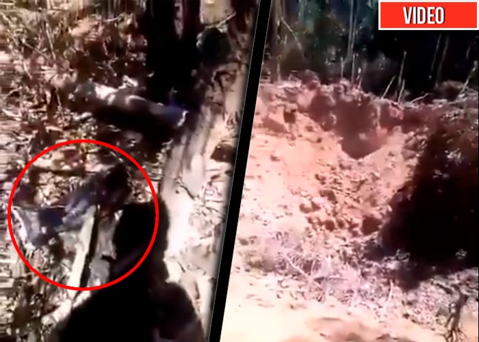 El rastro que dejó el bombardeo en la selva del Caquetá [VIDEO]