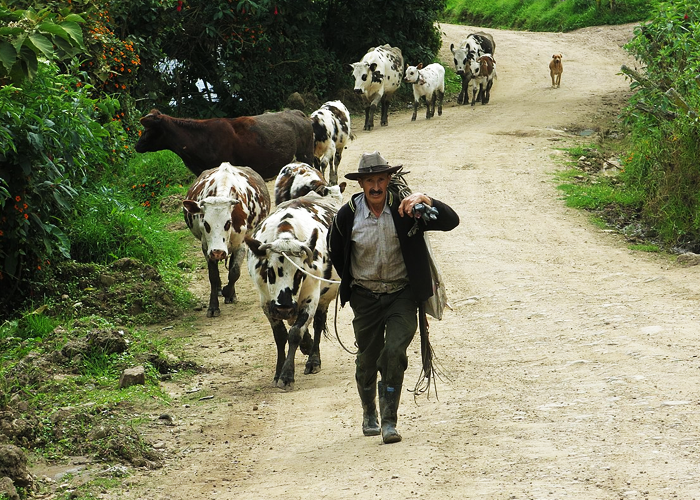 Ahora sí se acordaron de los 