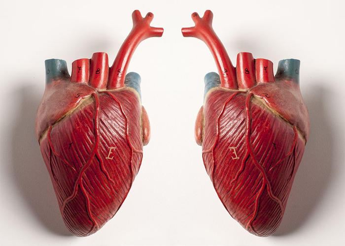 La naturaleza del amor y la muerte: entre la literatura y la realidad