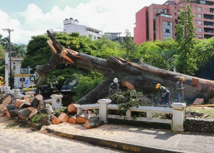 En trozos quedó la historia de Cali