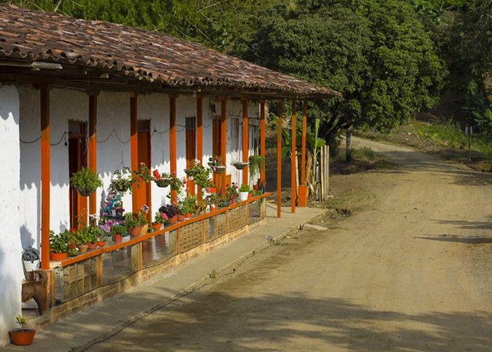 Bioingeniería, la salida a la erosión en el Eje Cafetero