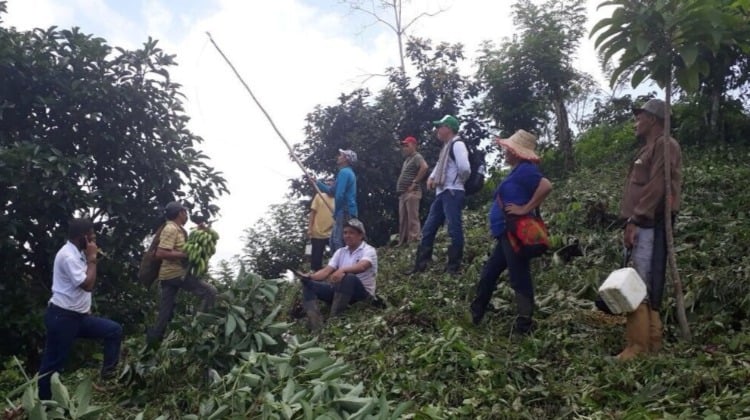 Tejidos territoriales: paz y desarrollo