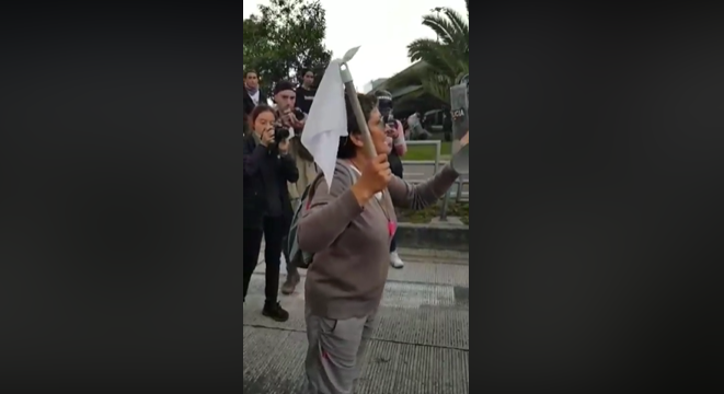 La anciana que se la ganó a un escuadrón del ESMAD. Video