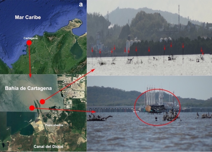 ¿Se nos roban la Bahía de Cartagena?