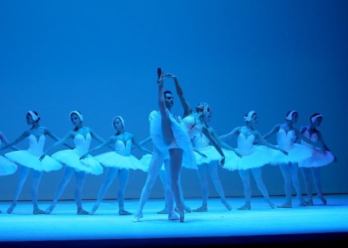 'El Lago de los Cisnes' se toma el Teatro Colón de Bogotá