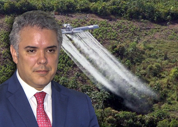 La adicción del uribismo al glifosato