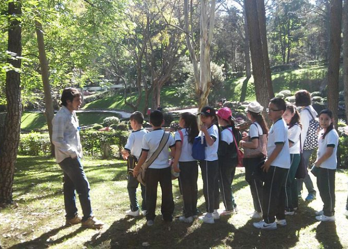 La educación ambiental, esperanza que agoniza