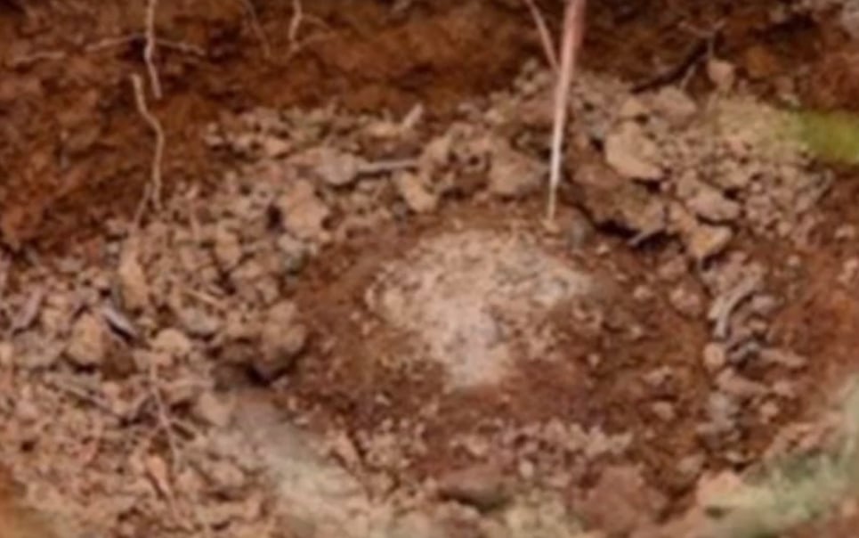 Los pastores que mataron a una mujer embarazada y a sus cinco hijos. Video