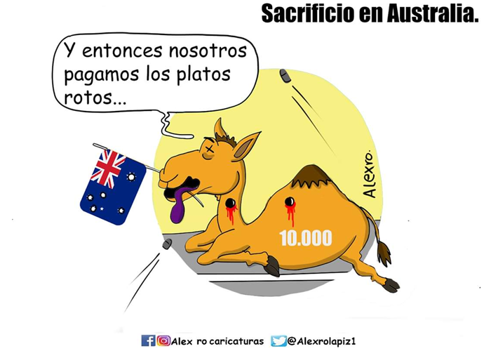 Caricatura: Sacrificio en Australia