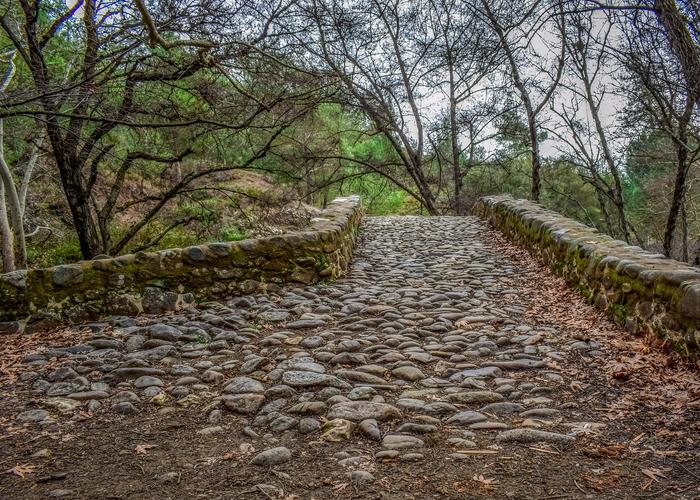 ¿Cuál es el camino? Ya no tenemos tiempo de seguir dudándolo