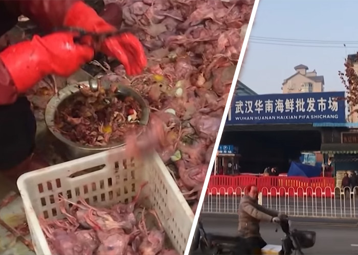 [VIDEO] El asqueroso mercado de China de donde salió el Coronavirus