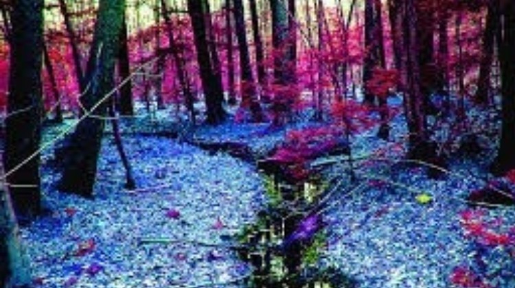 La contaminación radiactiva del ´fracking´