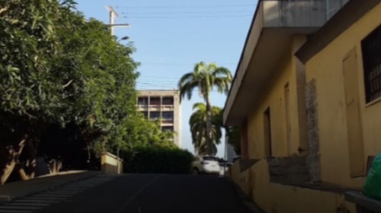 Una manzana en diez pedazos (III)