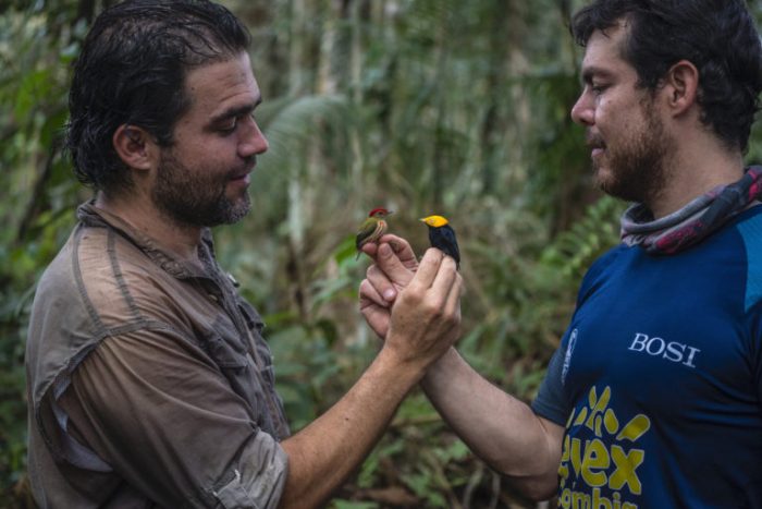 La pasión de Diego Calderón son las aves. Lleva más de 20 años dedicado a ellas y ha sido uno de los principales organizadores del Global Big Day en Colombia, evento en que el país es el campeón. Foto: Federico Ríos Escobar.