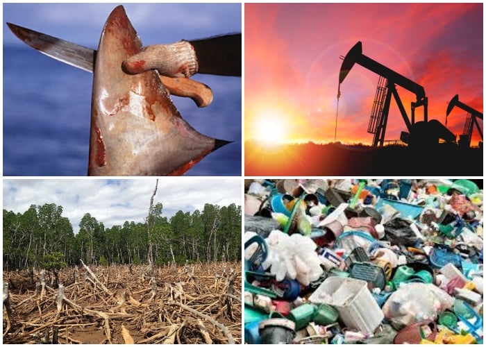 Las 4 problemáticas ambientales que deben quitarle el sueño al gobierno
