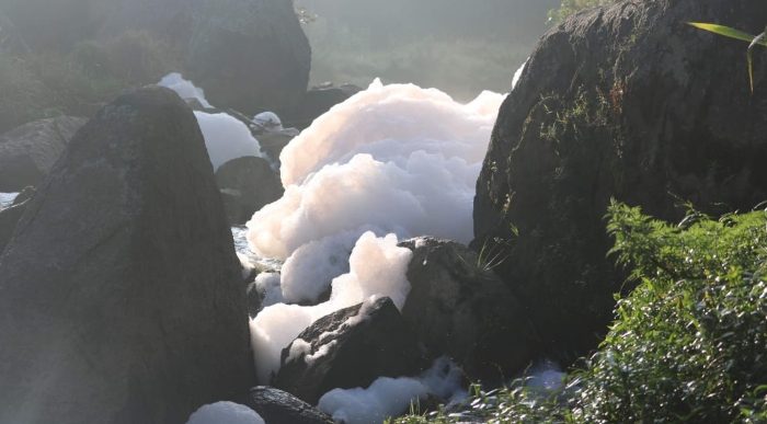  - La Marinilla, ¿otra quebrada mas muriendo en silencio?