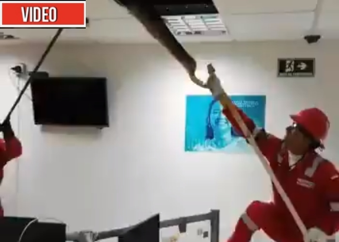 Video: La inmensa culebra que sacaron de la Alcaldía de Cali