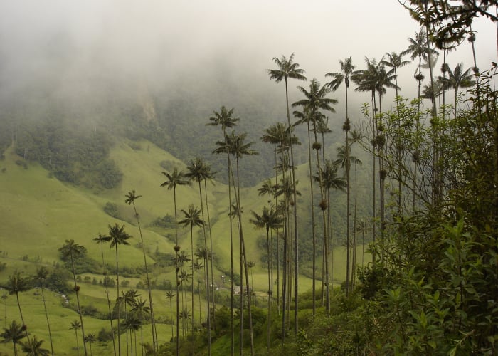 Los destinos turísticos que se ahogan en la basura