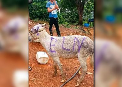  - Tensión en Cauca, Arauca y Catatumbo por paro armado del ELN - Página 8