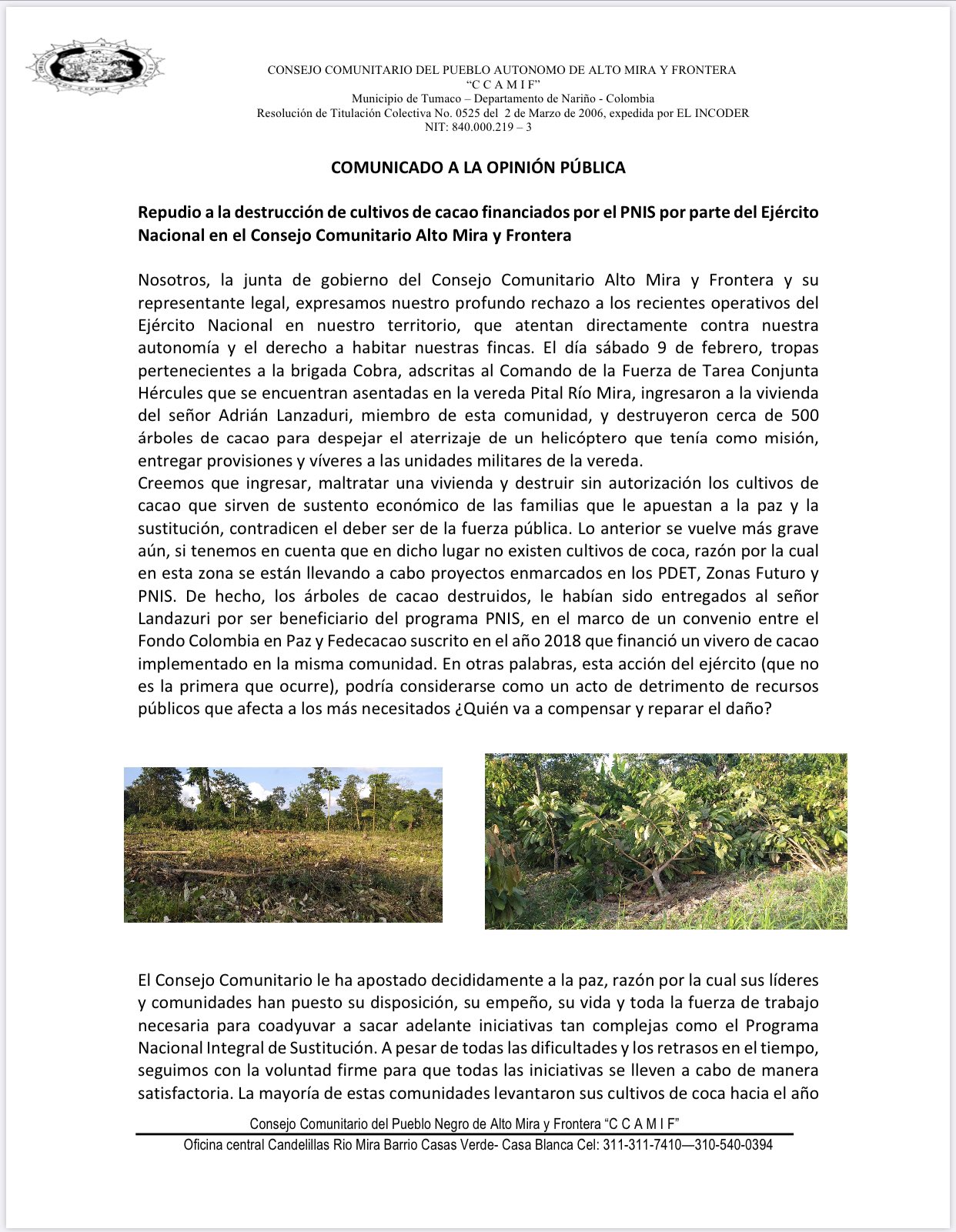  - Por abrirle pista a un helicóptero, Ejército destruyó 500 matas de cacao en Tumaco