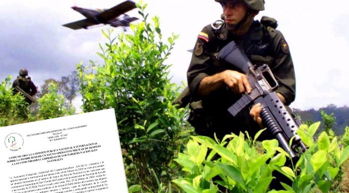  - A sangre y fuego estarían acabando con cultivos ilícitos en el Caquetá