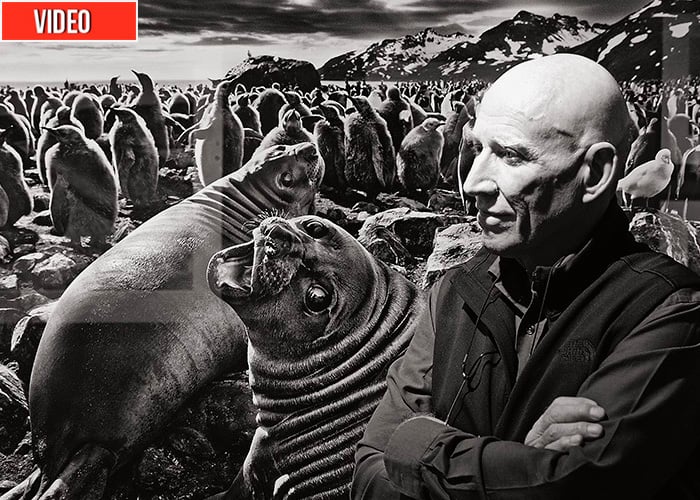 La magia de Sebastião Salgado llega a Francia