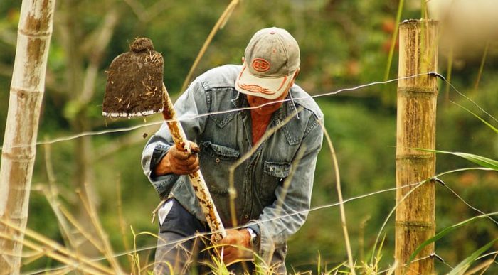  - Colombia, un campo que se queda sin campesinos