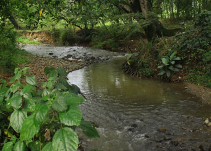 Denuncia: Aguas contaminadas caen al río Quilichao en el Cauca