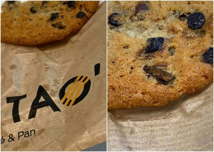 Encuentran cucaracha en galleta con pasas de Tostao