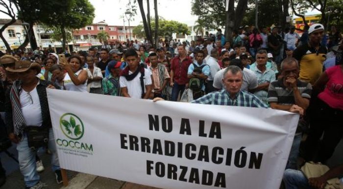  - Los cocaleros, listos para enfrentar las fumigaciones con glifosato