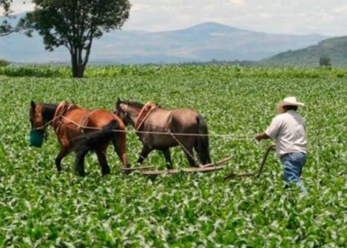 “El 75% de los campesinos no tiene forma de acceder a créditos”