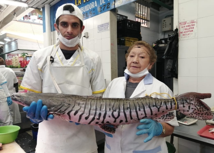 La Plaza de Restrepo, un mercado que se reinventa