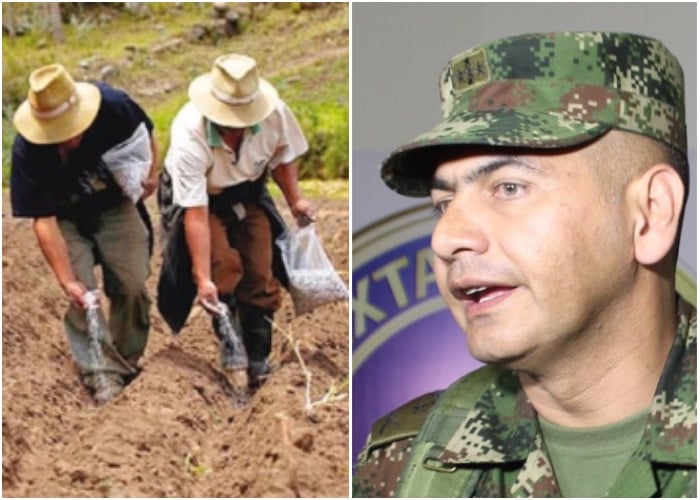 El Ejército le habría robado comida a campesinos en el Cauca