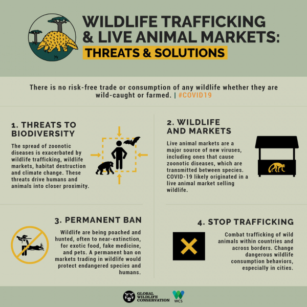  - Los animales y el coronavirus: mitos y realidades