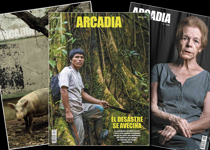 Cataratas de críticas al Grupo Semana por cierre de Arcadia