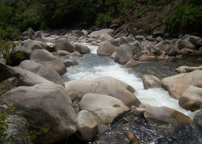 Video: Las aguas de Cocorná están en peligro por proyecto hidroeléctrico
