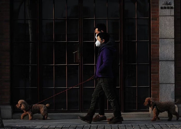 La crisis del coronavirus durará años