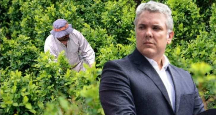  - El látigo de Trump: la coca crece en Colombia