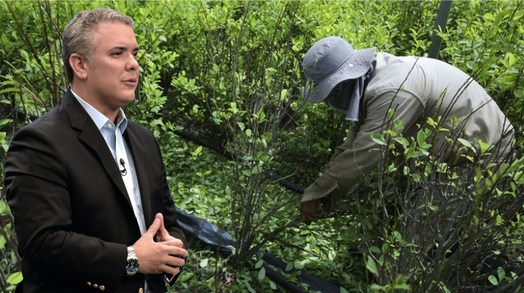 Cocaína, la guerra perdida