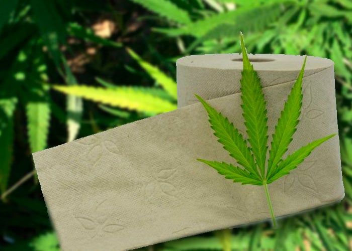 Papel higiénico de marihuna salvaría millones de bosques
