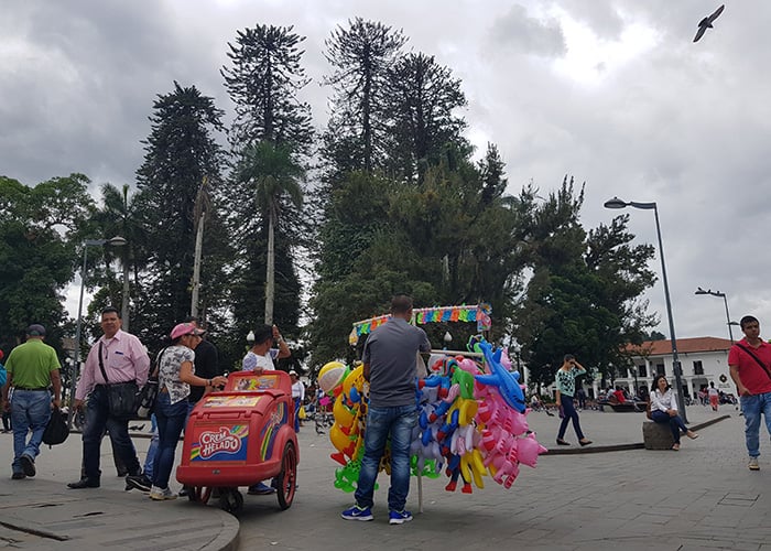 ¡Un llamado de urgencia al IPES!